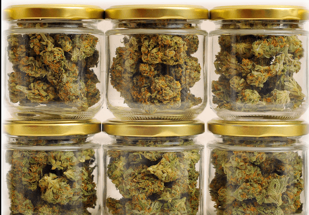 Curing Cannabis